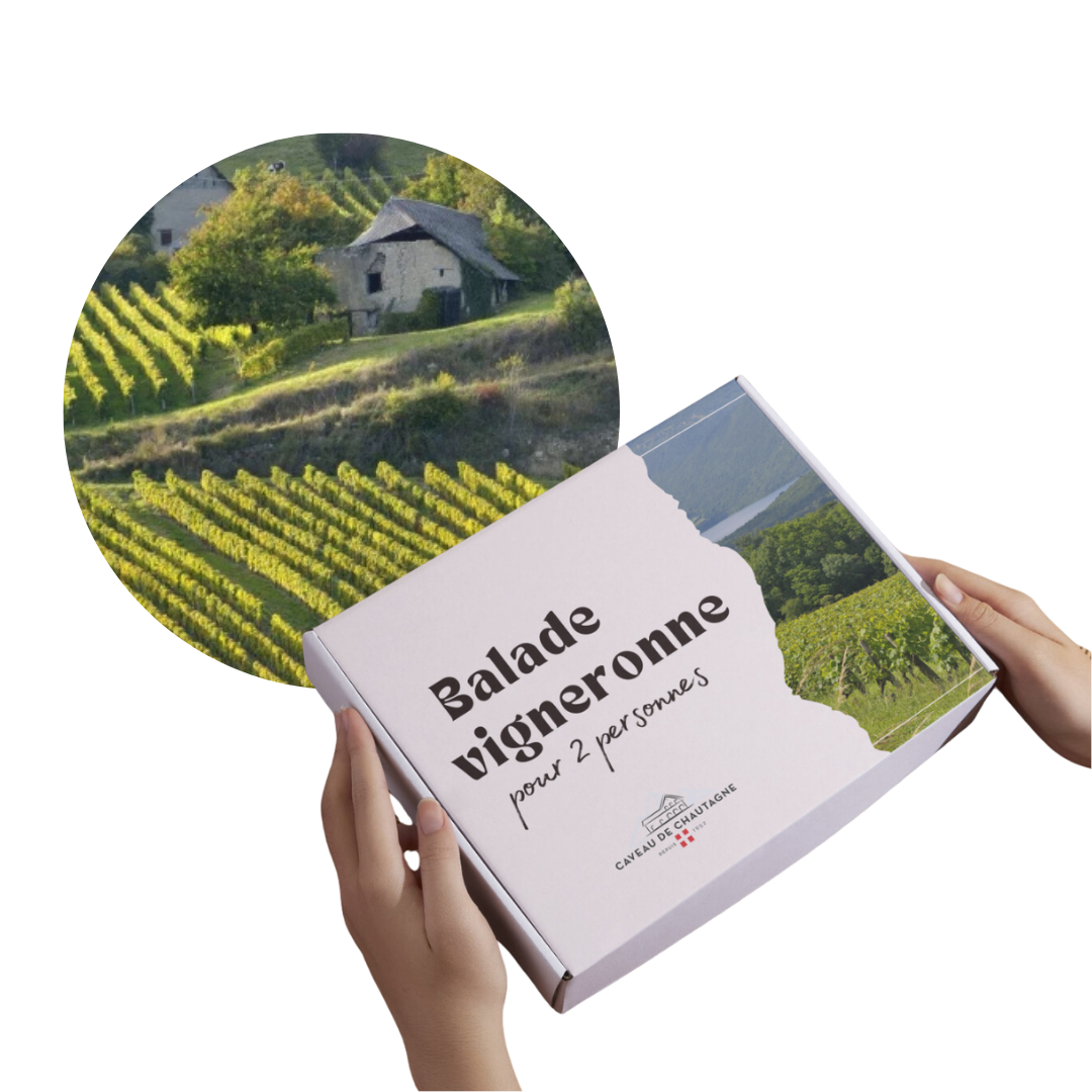 Balade vigneronne (pour 2 personnes)